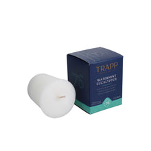 Load image into Gallery viewer, TRAPP No. 76 Watermint Eucalyptus 2 oz. Votive Candle